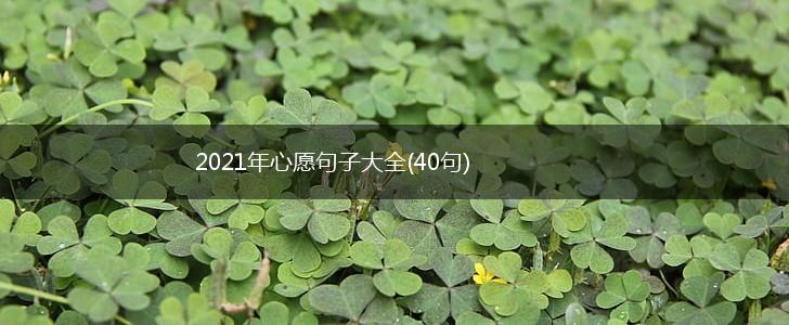 2021年心愿句子大全(40句),第1张
