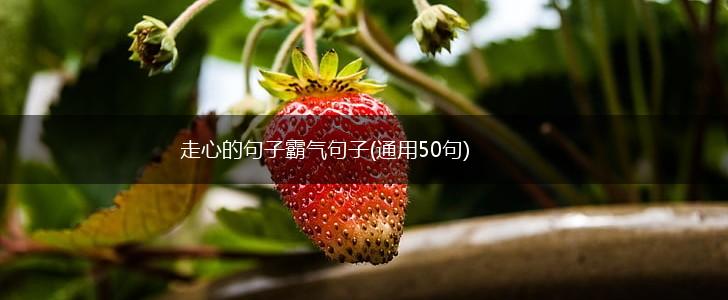 走心的句子霸气句子(通用50句),第1张