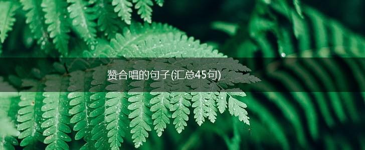 赞合唱的句子(汇总45句),第1张