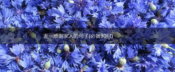 表示感谢家人的句子(必备30句),第1张