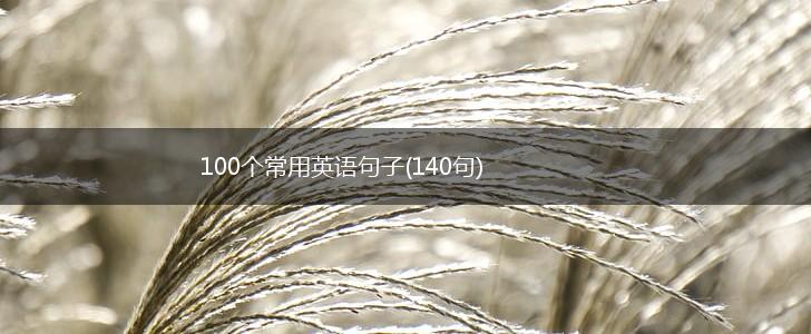 100个常用英语句子(140句),第1张