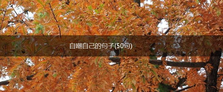 自嘲自己的句子(50句),第1张