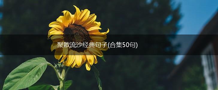 聚散流沙经典句子(合集50句),第1张