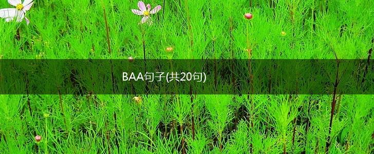 BAA句子(共20句),第1张