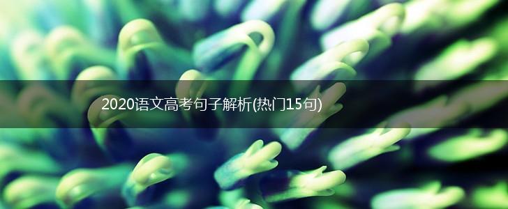 2020语文高考句子解析(热门15句),第1张