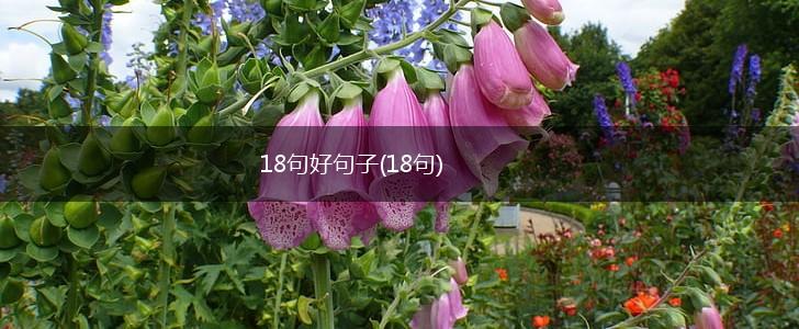 18句好句子(18句),第1张