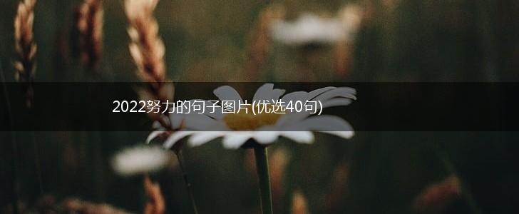 2022努力的句子图片(优选40句),第1张
