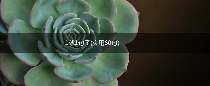 1就1句子(实用60句),第1张