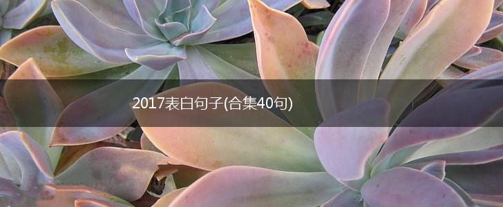 2017表白句子(合集40句),第1张