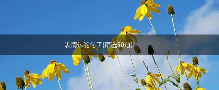 表情包的句子(精选50句),第1张