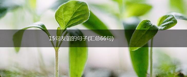 15句友谊的句子(汇总66句),第1张