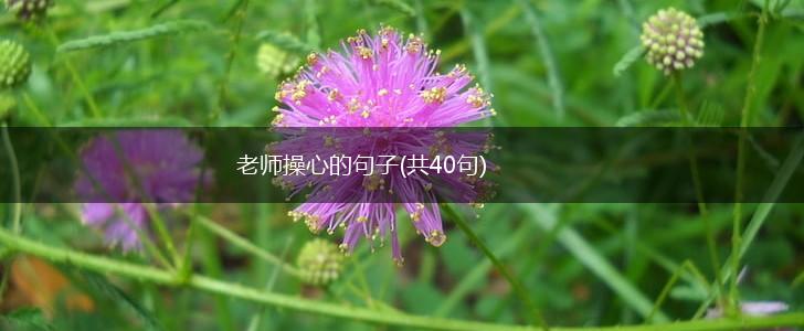 老师操心的句子(共40句),第1张