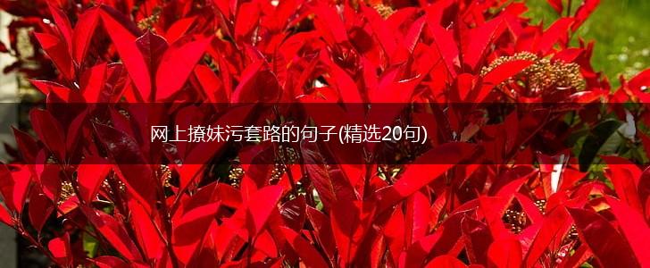 网上撩妹污套路的句子(精选20句),第1张
