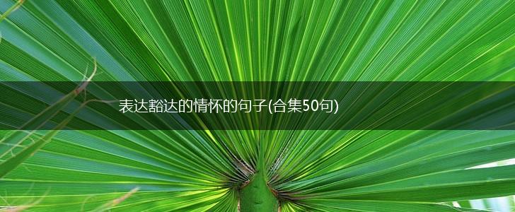 表达豁达的情怀的句子(合集50句),第1张