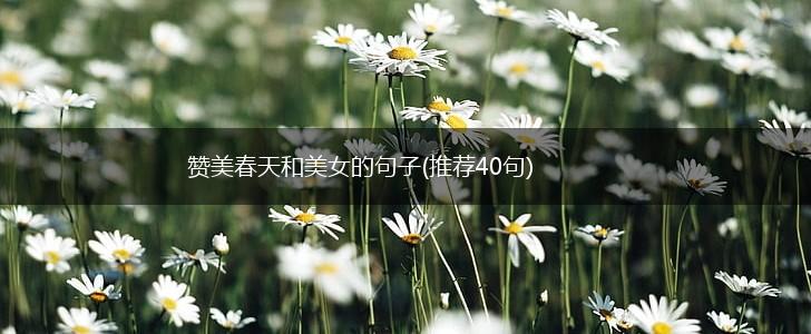 赞美春天和美女的句子(推荐40句),第1张