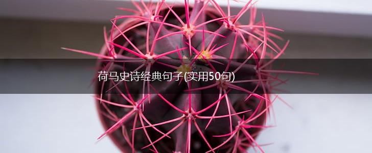 荷马史诗经典句子(实用50句),第1张