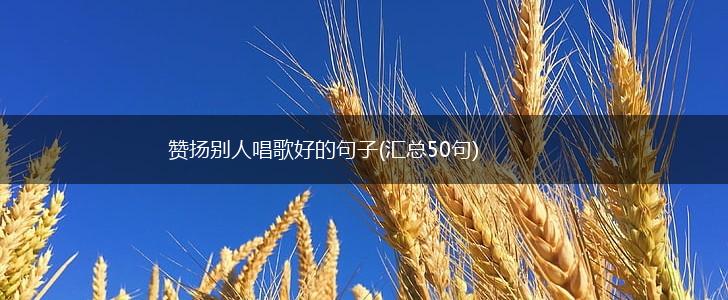 赞扬别人唱歌好的句子(汇总50句),第1张
