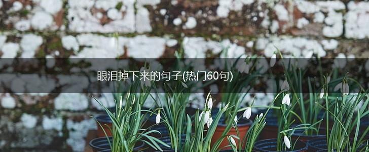 眼泪掉下来的句子(热门60句),第1张