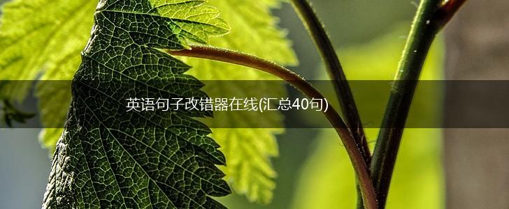 英语句子改错器在线(汇总40句),第1张