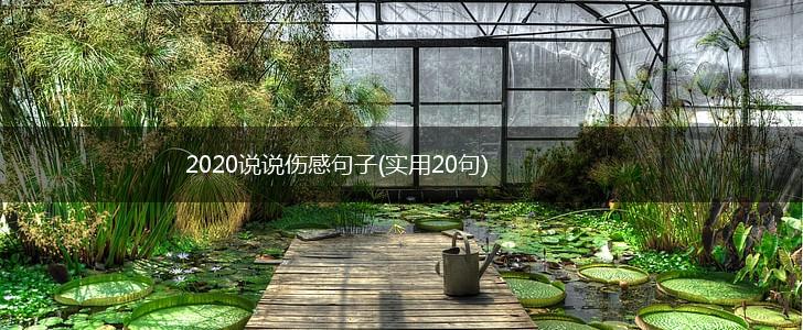 2020说说伤感句子(实用20句),第1张