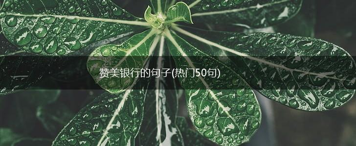 赞美银行的句子(热门50句),第1张