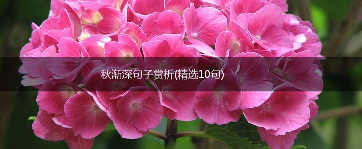 秋渐深句子赏析(精选10句),第1张