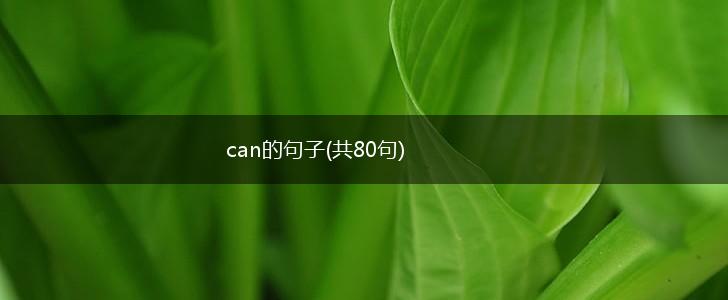 can的句子(共80句),第1张