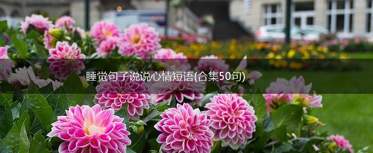 睡觉句子说说心情短语(合集50句),第1张