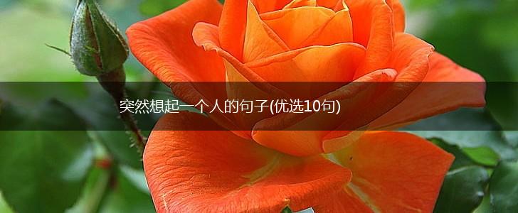 突然想起一个人的句子(优选10句),第1张