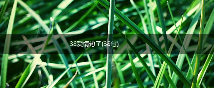 38爱情句子(38句),第1张