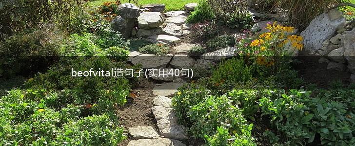 beofvital造句子(实用40句),第1张