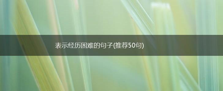 表示经历困难的句子(推荐50句),第1张