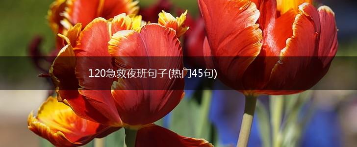 120急救夜班句子(热门45句),第1张