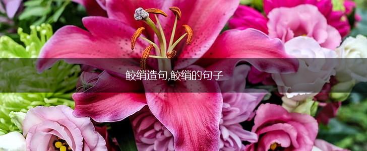 鲛绡造句,鲛绡的句子,第1张