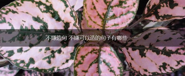 不嫌造句 不嫌可以造的句子有哪些,第1张