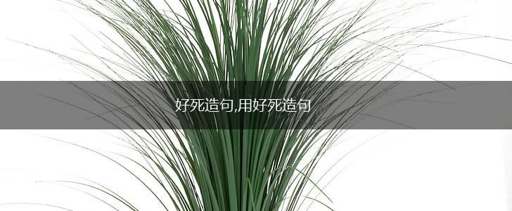 好死造句,用好死造句,第1张
