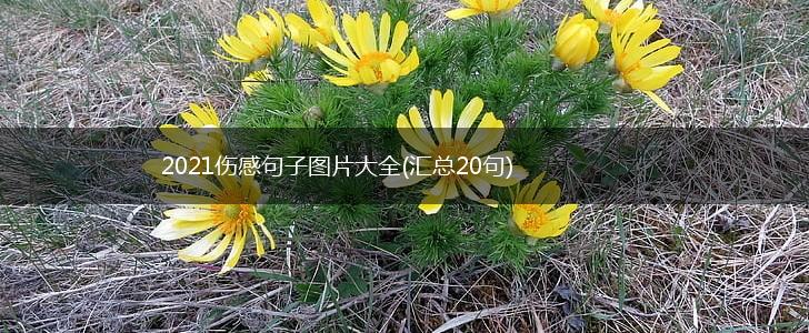 2021伤感句子图片大全(汇总20句),第1张