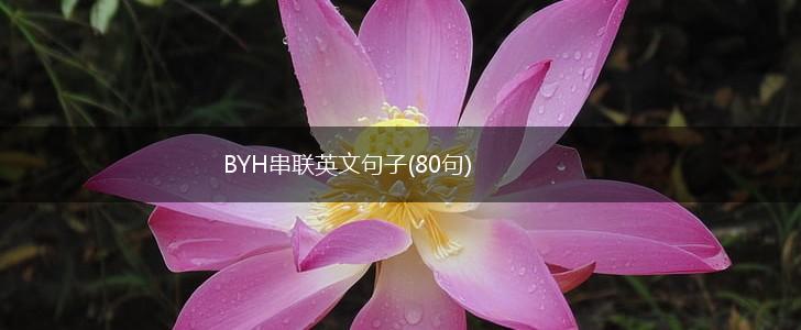 BYH串联英文句子(80句),第1张