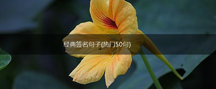 经典签名句子(热门50句),第1张