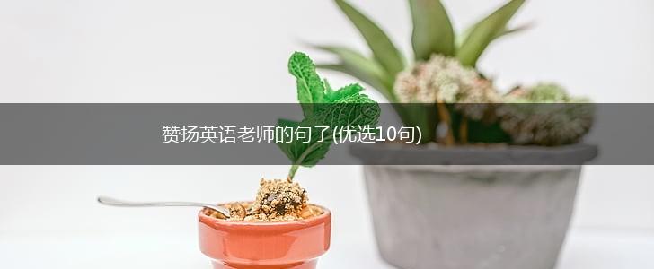 赞扬英语老师的句子(优选10句),第1张