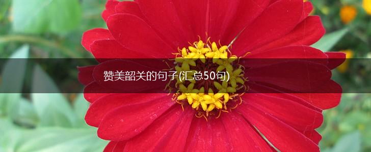 赞美韶关的句子(汇总50句),第1张