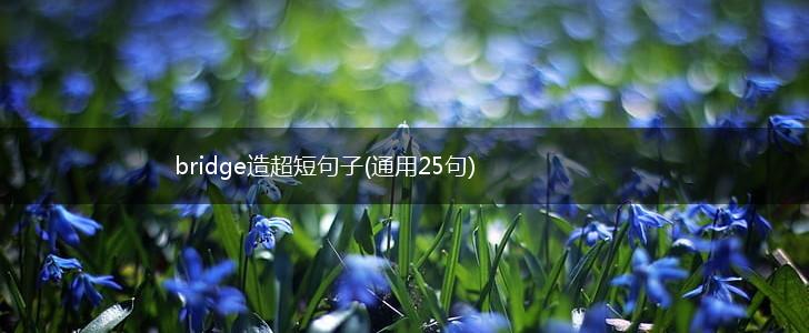 bridge造超短句子(通用25句),第1张