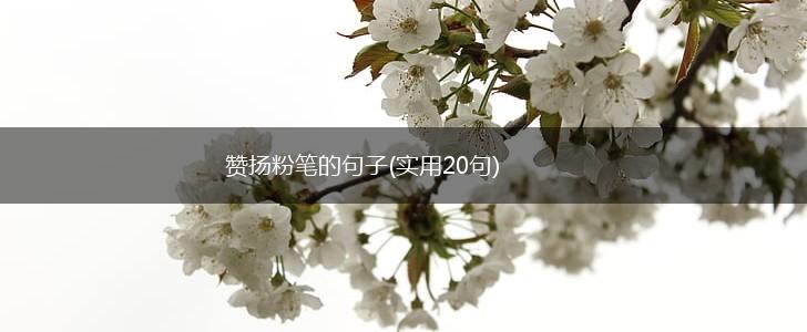赞扬粉笔的句子(实用20句),第1张
