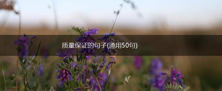 质量保证的句子(通用50句),第1张
