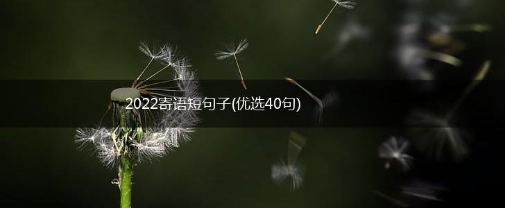 2022寄语短句子(优选40句),第1张