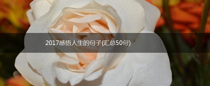 2017感悟人生的句子(汇总50句),第1张