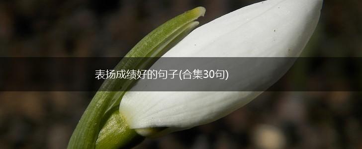 表扬成绩好的句子(合集30句),第1张