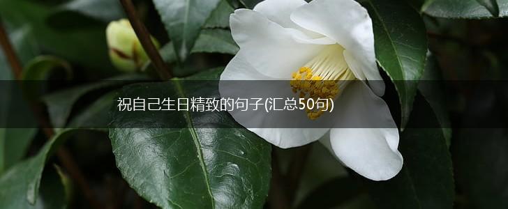 祝自己生日精致的句子(汇总50句),第1张