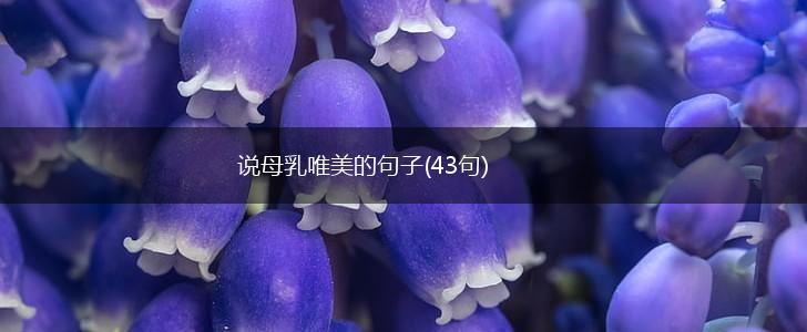 说母乳唯美的句子(43句),第1张