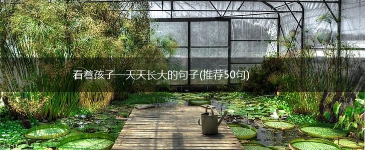 看着孩子一天天长大的句子(推荐50句),第1张